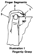 Regulatory diagram